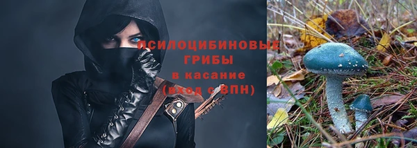 apvp Волоколамск